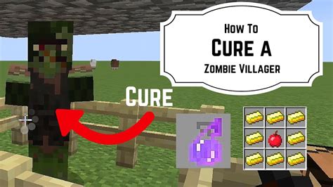how to cure a zombie villager|Tutorials/Curing a zombie villager .
